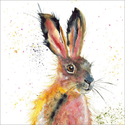 Fluffy Hare
