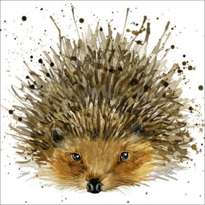 Hedgehog