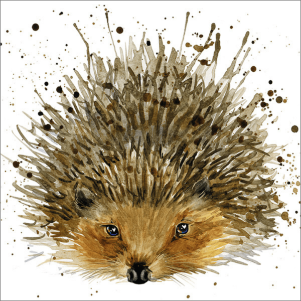 Hedgehog