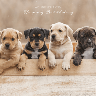 Puppy Friends