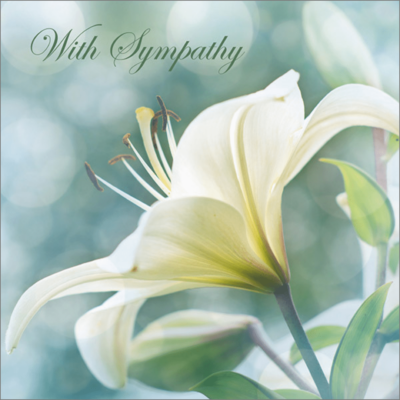 White Lily