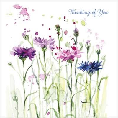 Wild Flowers