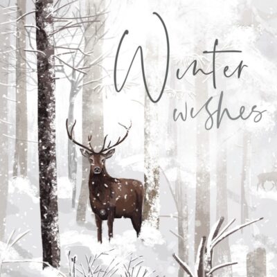 Highland Stag