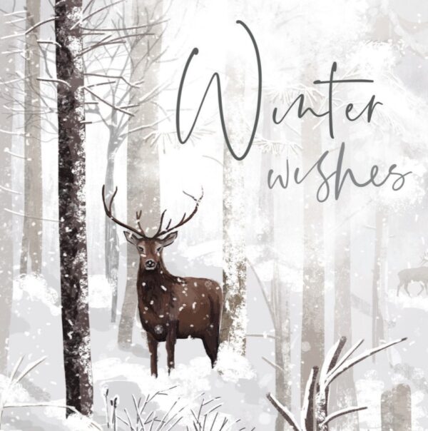 Highland Stag