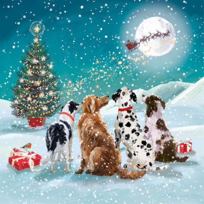Watching Santa