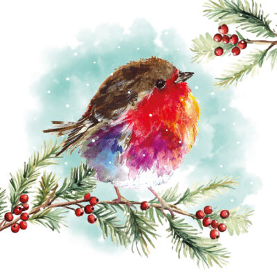 Perching Fluffy Robin