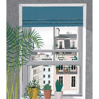 View From The Window