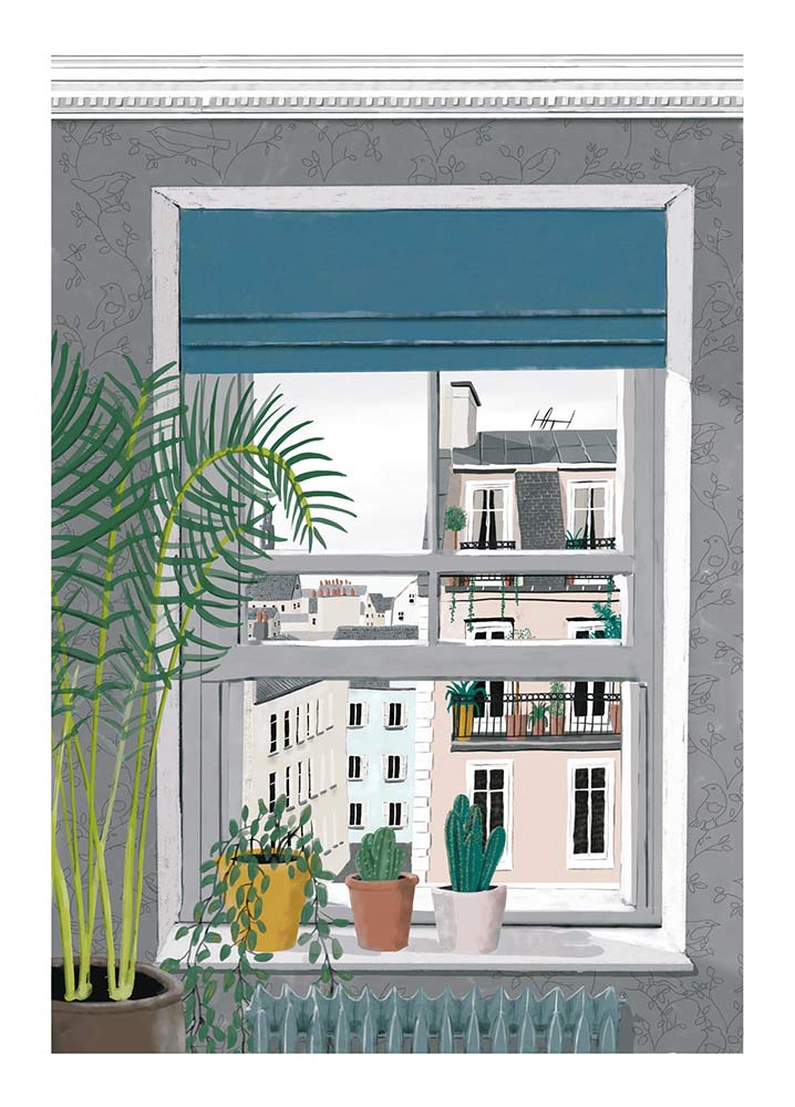 View From The Window