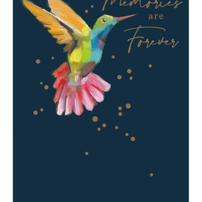 Sympathy - Hummingbird